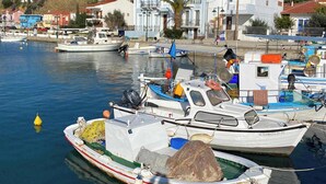 Un puerto deportivo con varias embarcaciones amarradas, un edificio de techo rojo y un paisaje montañoso al fondo.