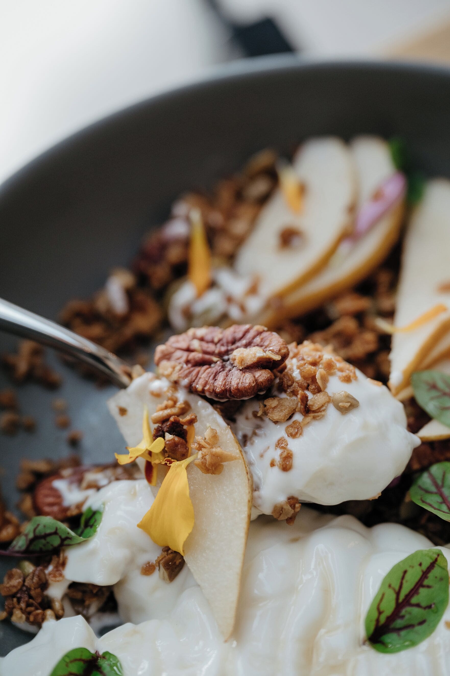 A close-up of a dessert with nuts and fruit pieces.