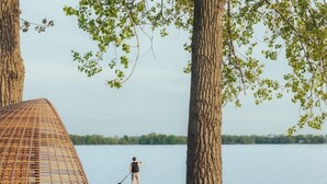 A person paddleboarding on a calm lake with trees in the background. - Wander the Resort (Prince Edward)