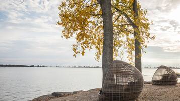 A beach scene with two spherical birdcages near a tree with yellow leaves, overlooking a calm body of water.