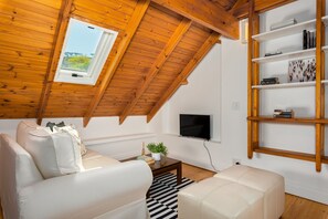 TV, fireplace, Netflix, streaming services