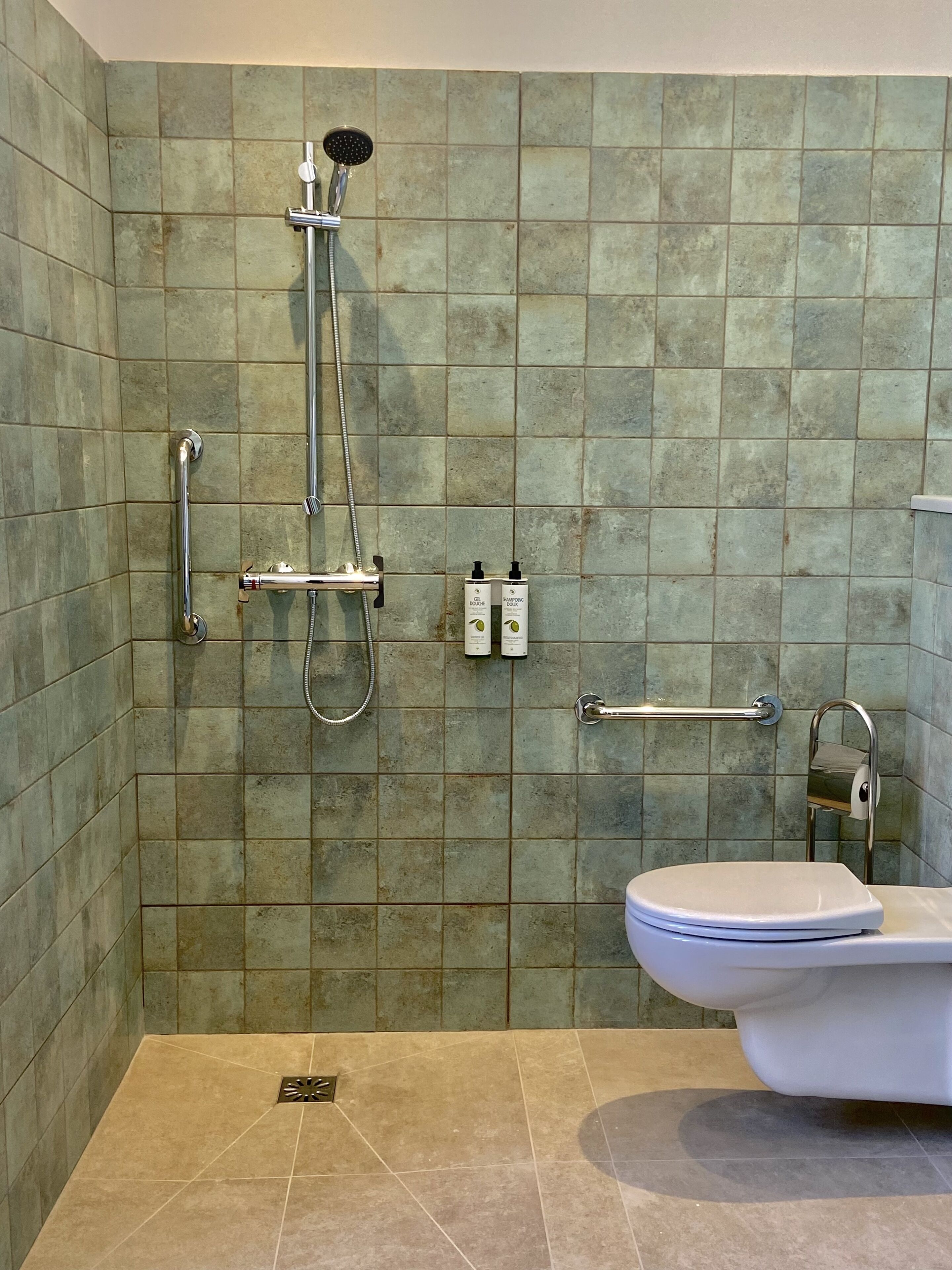 Un bagno con doccia, water e maniglioni.