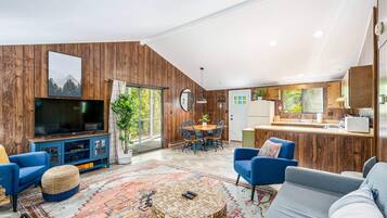 TV, lareira, DVD player, livros