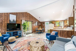 Télévision, cheminée, lecteur de DVD, livres