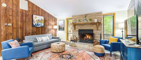 Télévision, cheminée, lecteur de DVD, livres