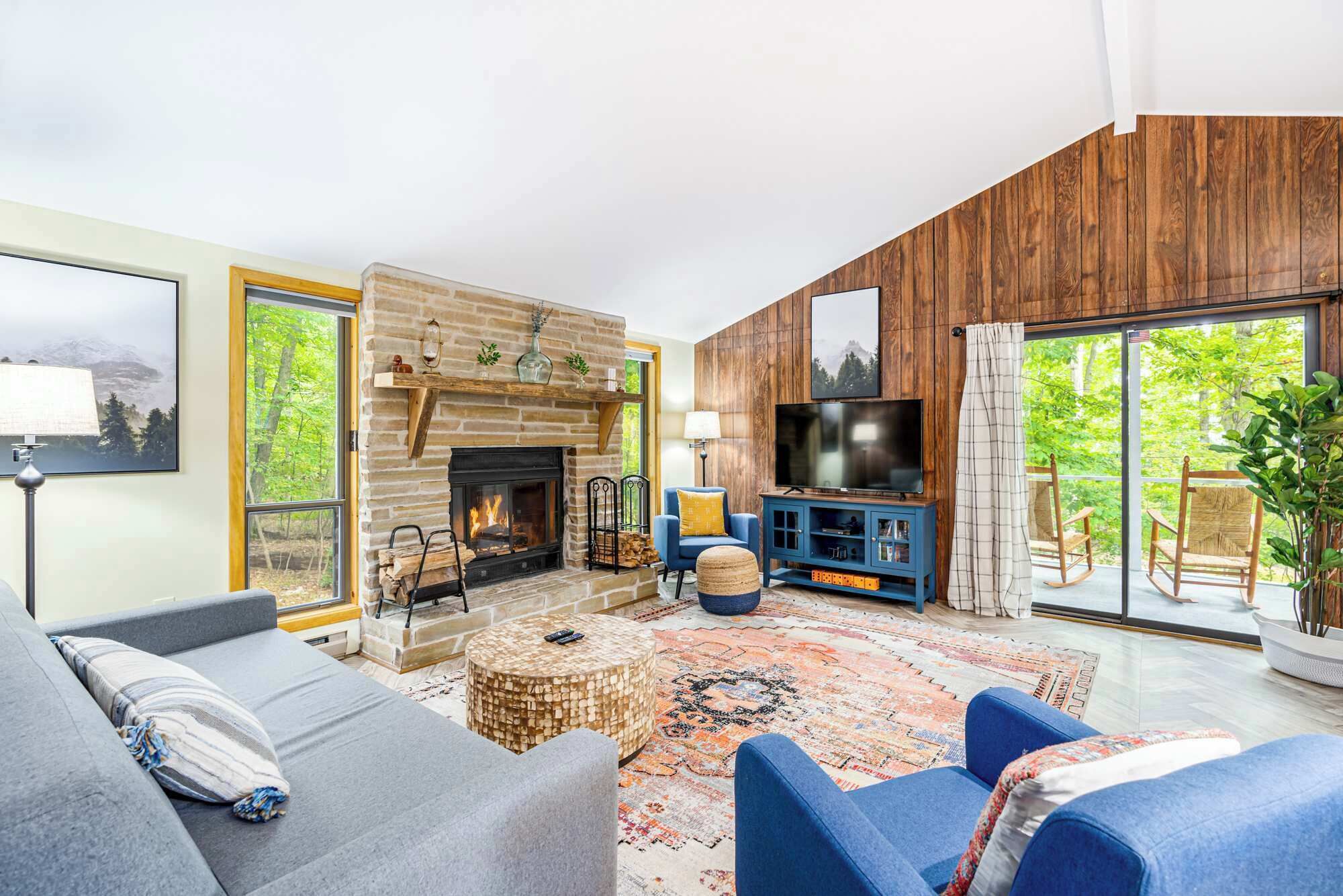 TV, lareira, DVD player, livros