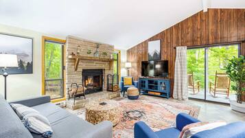 TV, fireplace, DVD player, books