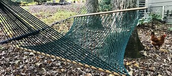 Fairy Garden (2 Bedroom Basement Apartment)