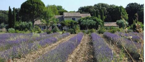 Terrain de l’hébergement