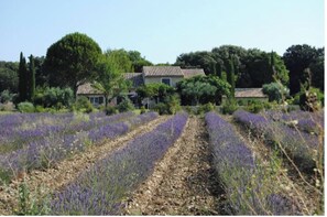 Overnatningsstedets område