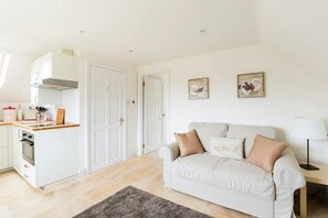 تلفزيون، مشغل دي في دي