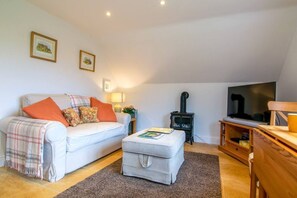 Una televisión, un reproductor de DVD