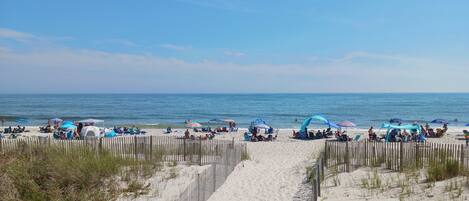 Camastros y toallas de playa