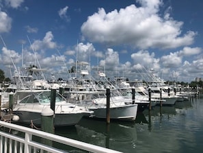 Port de plaisance