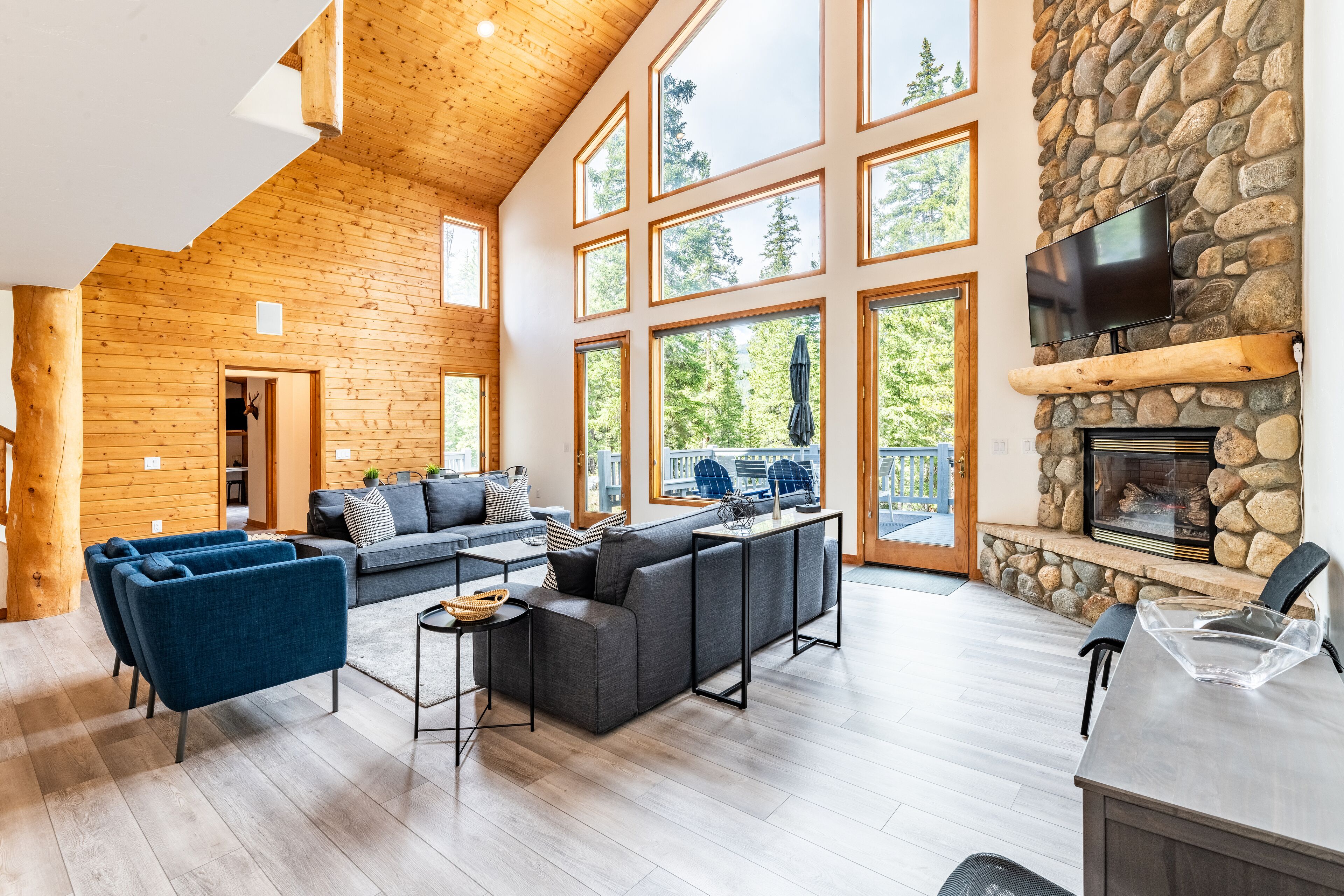 Télévision, cheminée, écrans d'ordinateur