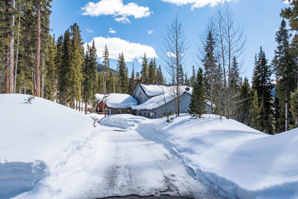 Paesaggio innevato con una casa circondata da alti pini.