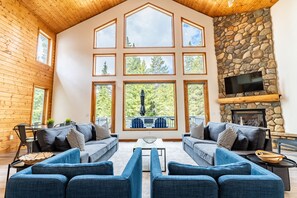 TV, fireplace, computer monitors