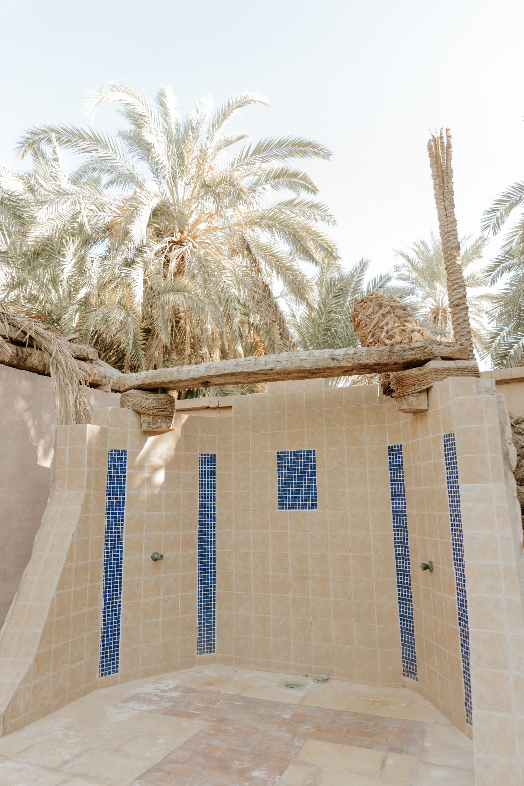 A tiled pool area with blue accents, palm trees, and a clear sky.