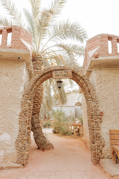 siwa safari paradise hotel