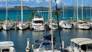 Un port de plaisance où sont amarrés de nombreux voiliers.