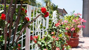 A white metal fence with red roses and green foliage. - Casitas Miramar Puerto Vallarta Malecón (Puerto Vallarta)