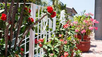 DĂ©tail de lâintĂ©rieur