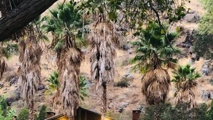 Exterior - Rancho San Carlos Aguas Termales (Ensenada)