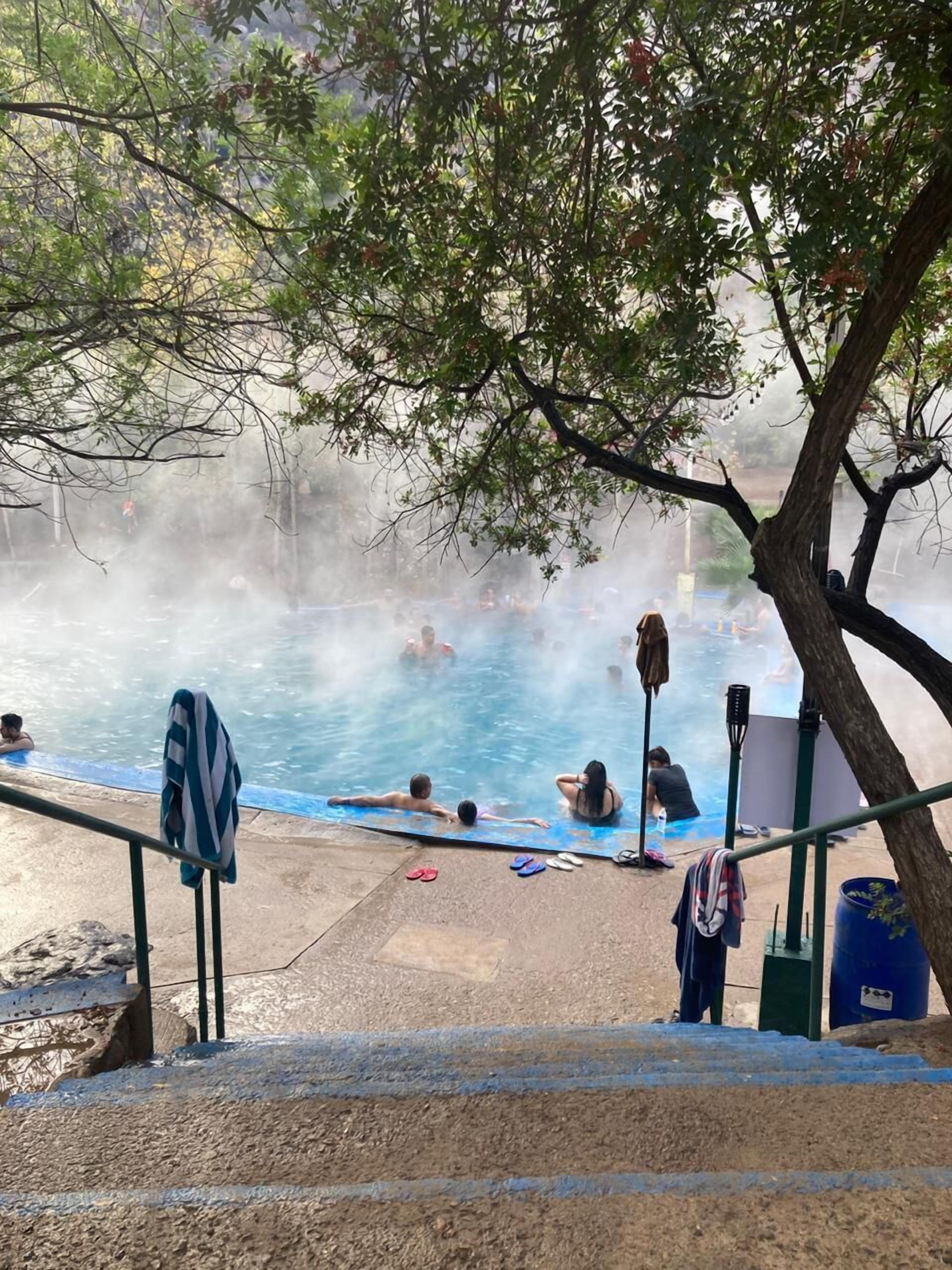 Naturpool