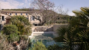 A pool area with a tree, surrounded by various plants and a building in the background.