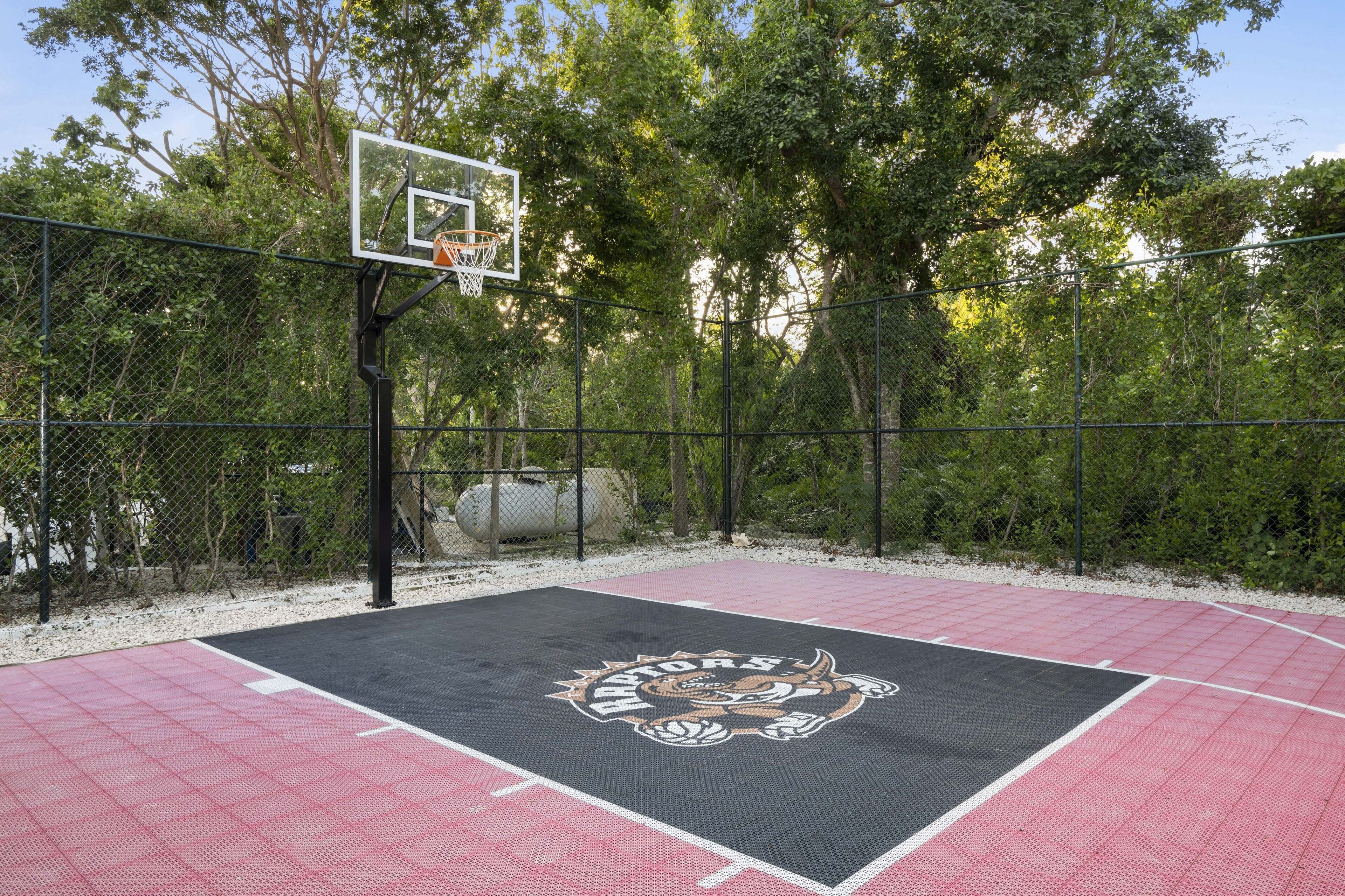 Una cancha de baloncesto al aire libre con el logotipo de los Raptors, rodeada por una cerca de malla y árboles.