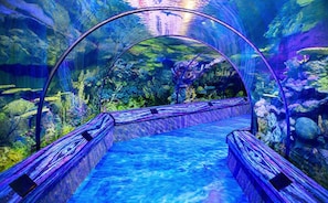 สถานที่น่าสนใจ
