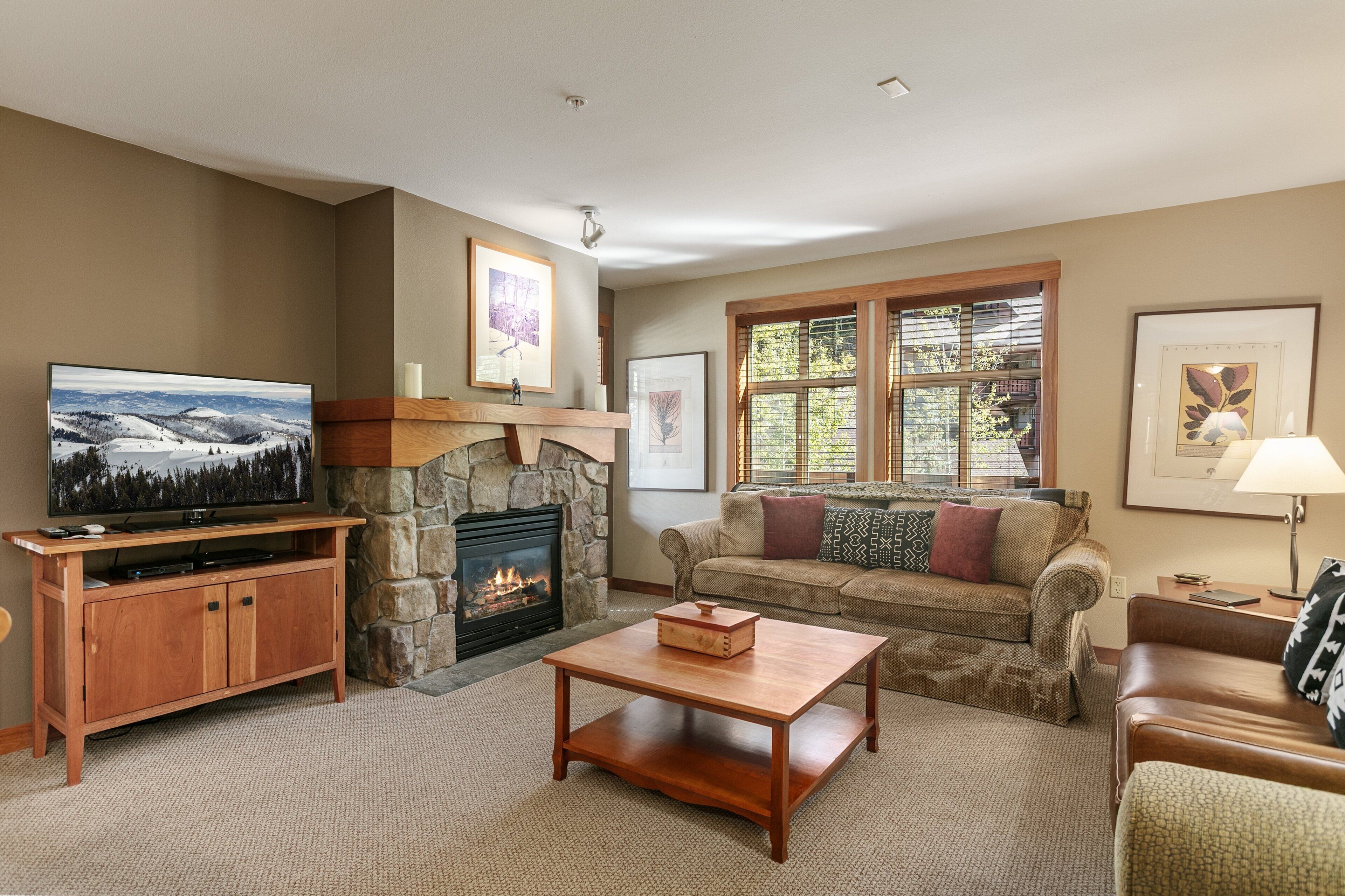 TV, fireplace