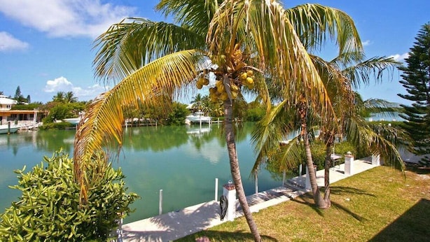 A tropical resort with a palm tree, a body of water, and a white building in the background. - One Particular Harbor ~ Waterfront Pool Home Near the Beach! (Marathon)