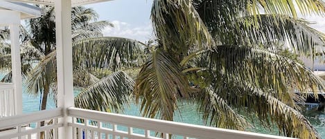 A view of a pool area with palm trees and a white railing.