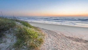 A beach with a sandy path leading to the water, surrounded by grass.