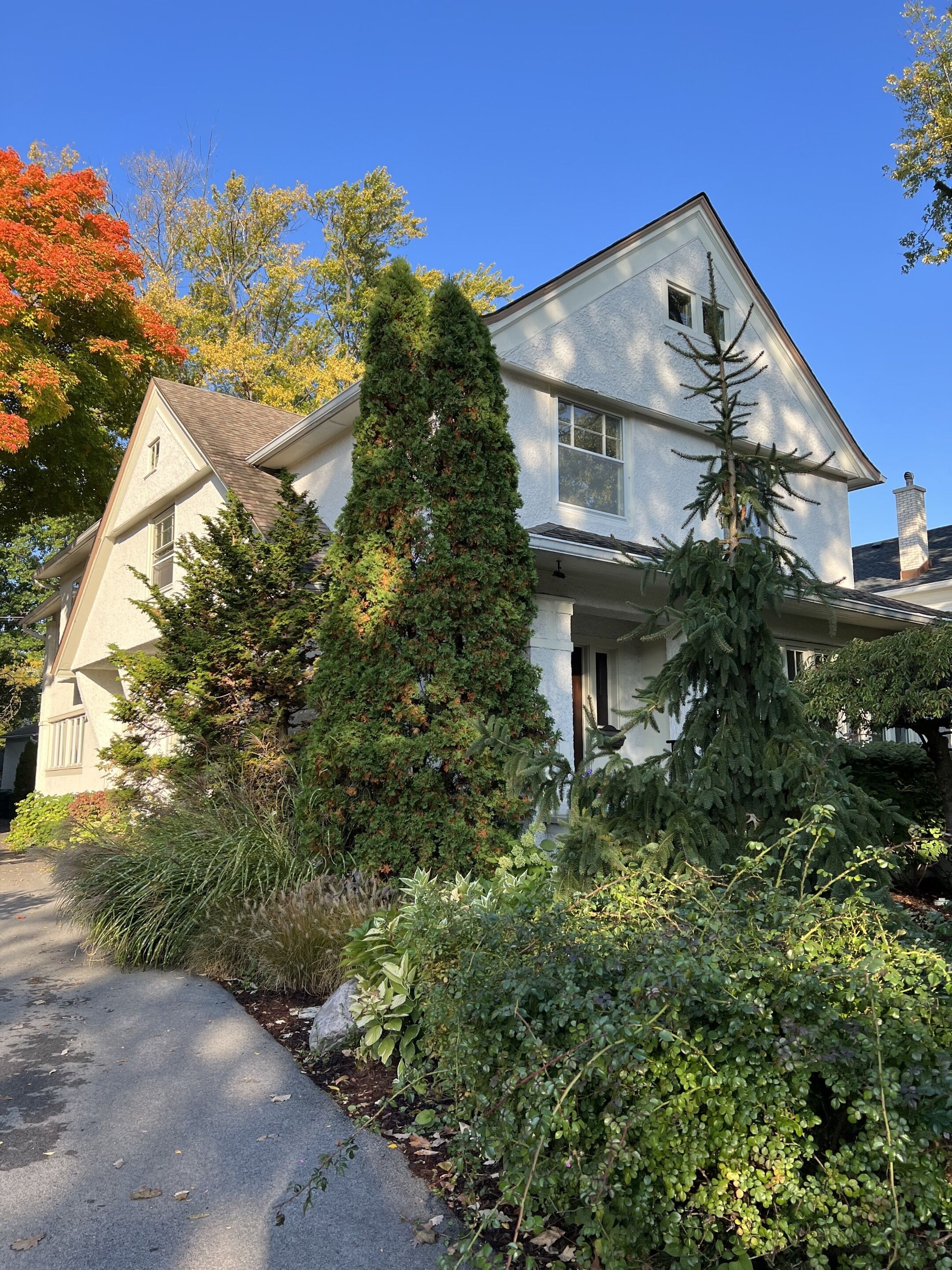 Exclusive Apartment, Private Bathroom, Garden View (1st Floor) | Garden