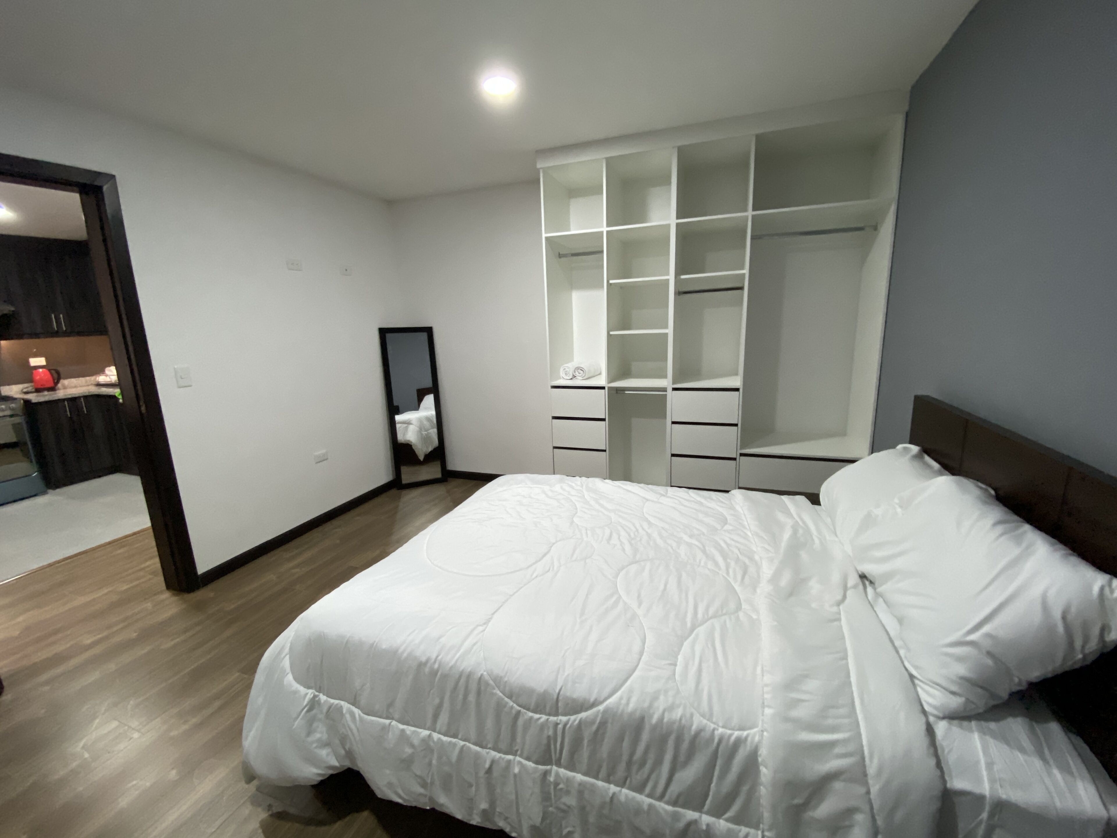 A bedroom with a large bed, a walk-in closet, and a mirror.