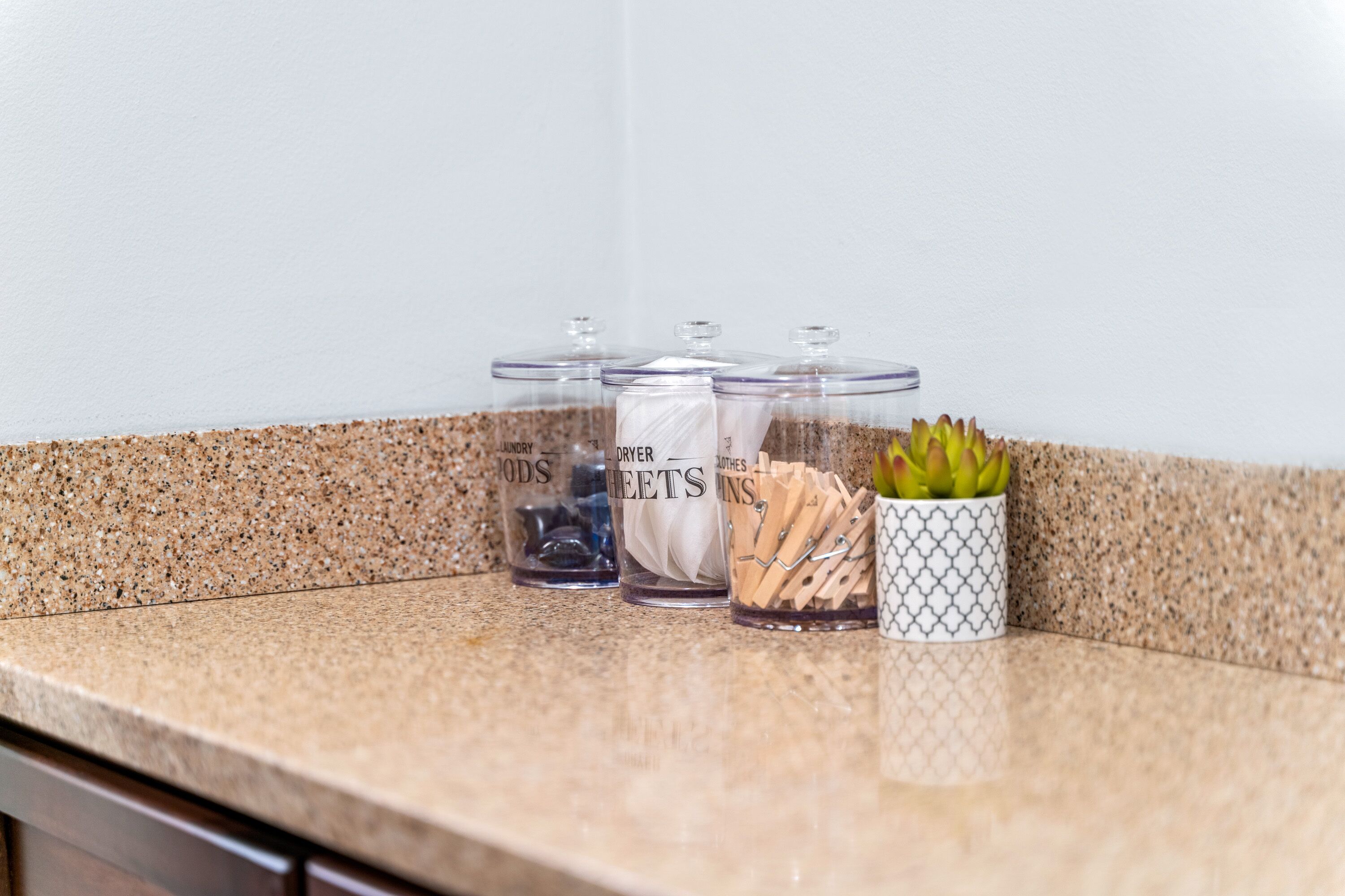 Three glass containers with lids on a kitchen counter, one with a plant.