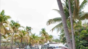 A parking area with multiple cars and palm trees. - CONDO MR BY TRVL2HM (Puerto Vallarta)