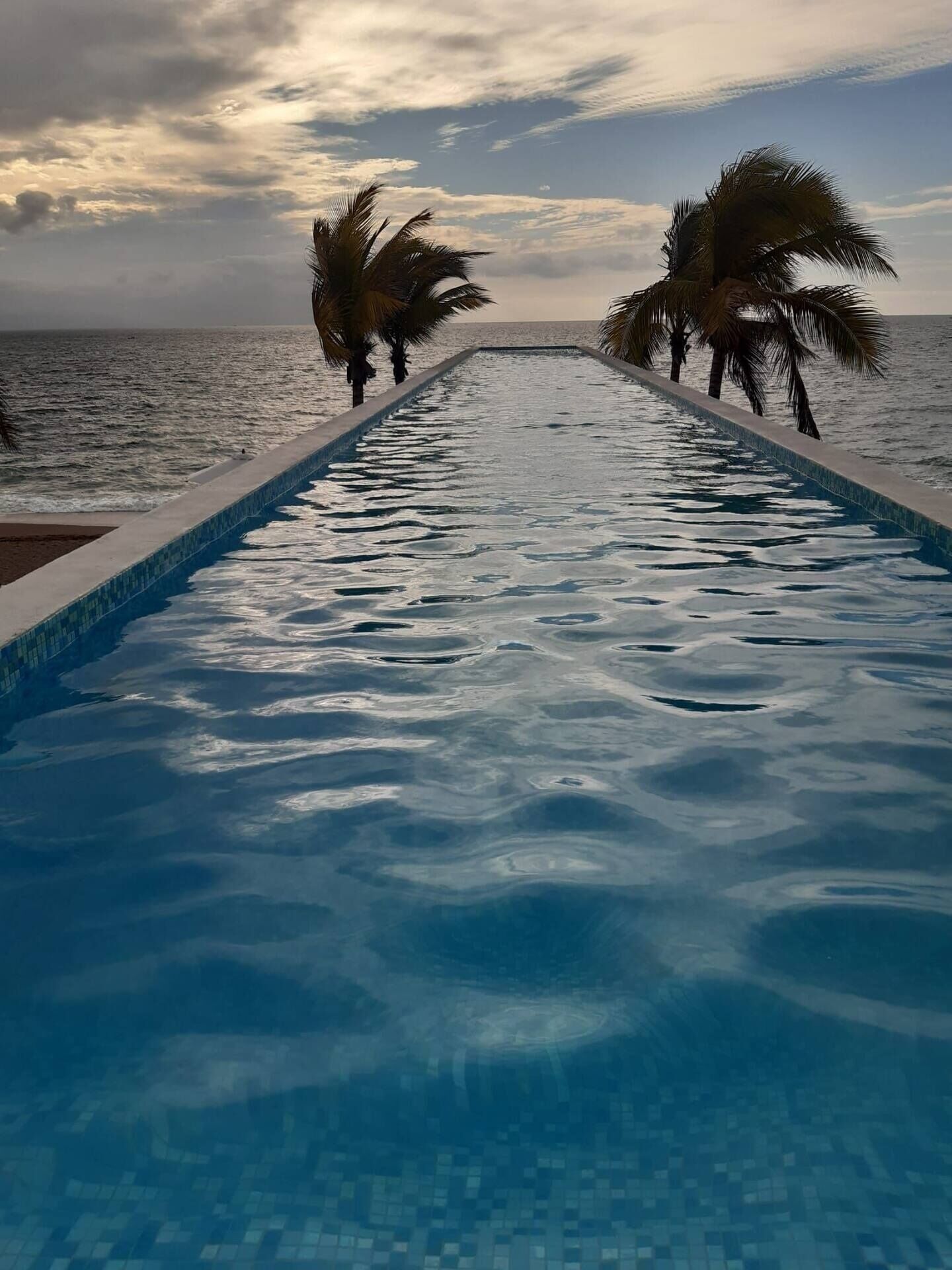 Una piscina con vistas al océano y palmeras.