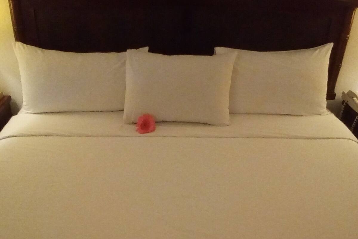 A neatly made bed with white linens and a single red flower.
