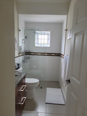 Shower, hair dryer, towels, soap - 30 minutes from MBJ Airport -Solar powered-Starlink high speed  intermet. (Lucea)