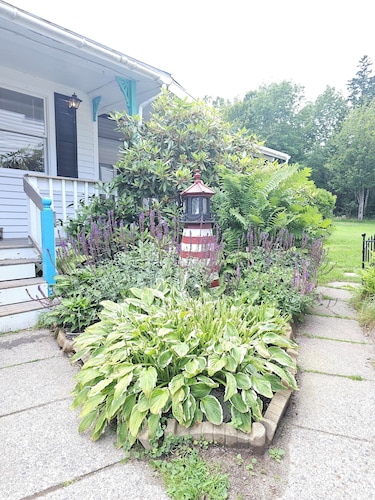 GREAT WHITE@ ACADIA NATIONAL PARK, A/C, SEAFOOD,