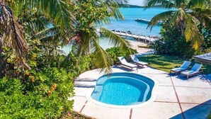 A swimming pool surrounded by palm trees and a view of the ocean.