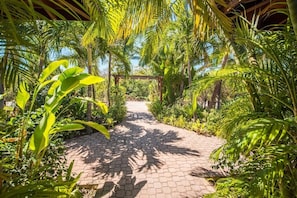 Ein gepflasterter Weg, umgeben von üppiger Vegetation und Palmen, führt zu einer hölzernen Pergola.
