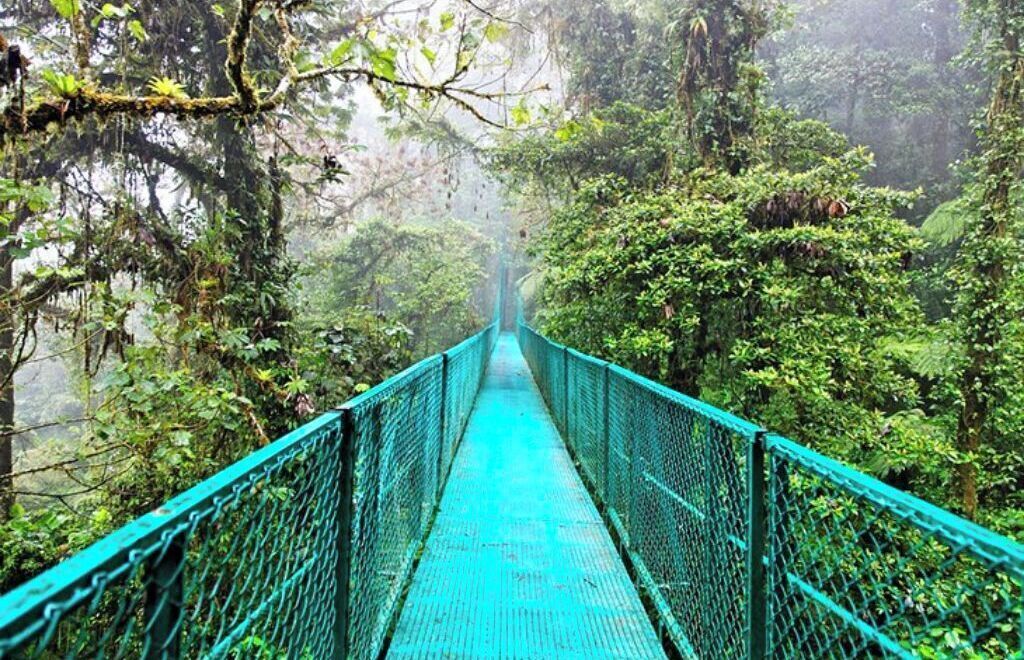 Overnatningsstedets område