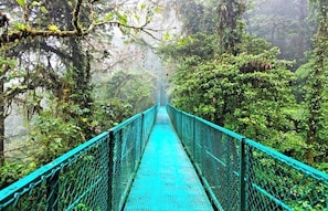 Overnatningsstedets område