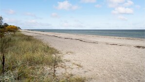 Une plage de sable avec une végétation clairsemée et un ciel dégagé.