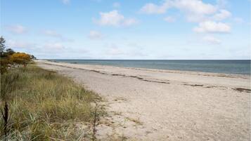 Tæt på stranden, fiskeri