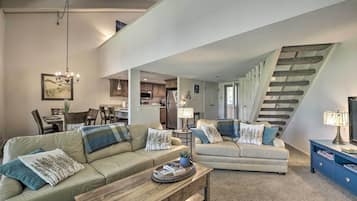 TV, fireplace, books
